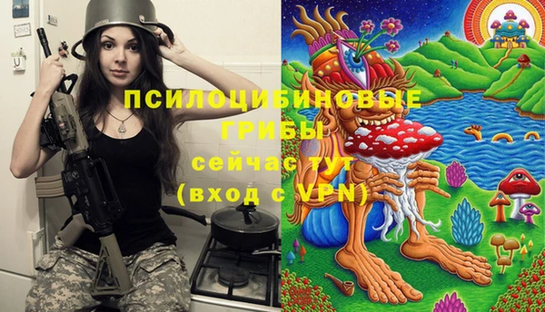 гидропоника Алзамай
