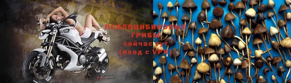 spice Алексин