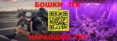 шишки Нальчик