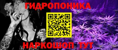 гашик Нарткала