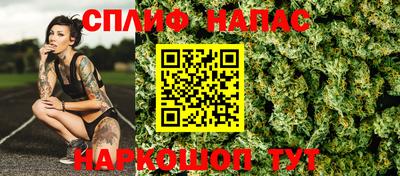 шишки Нальчик