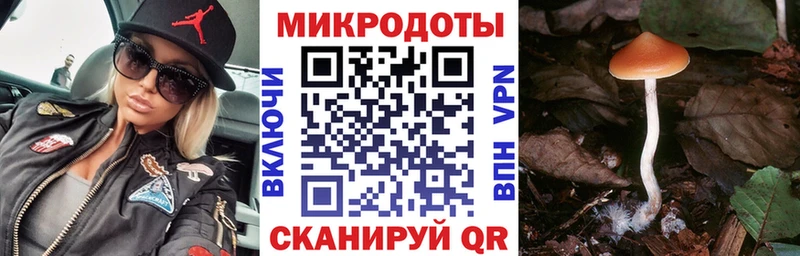 как найти   Чусовой  Псилоцибиновые грибы ЛСД 